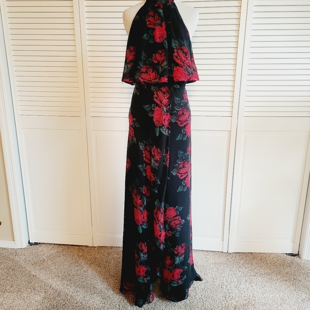 Lovers +Friends Maxi - Picture 5 of 6